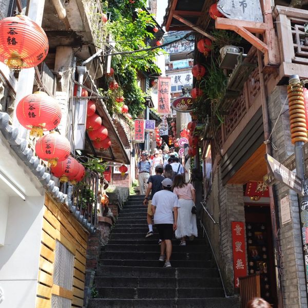 台湾・台北「台湾」の写真