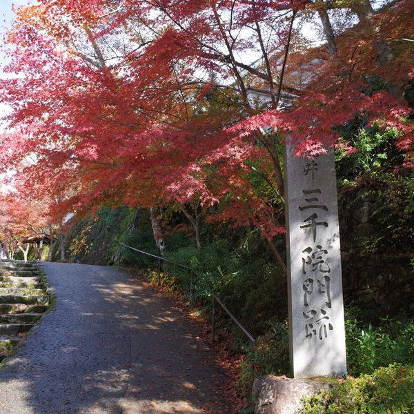 日本・京都「京都」の写真