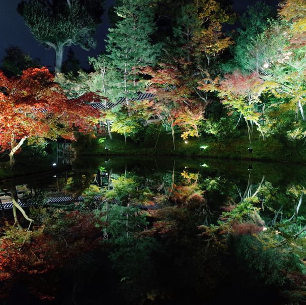 日本・京都「京都」の写真