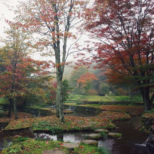 日本・長野県「星のや軽井沢」の写真