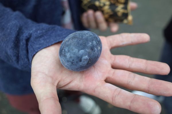 日本・箱根「箱根」の写真