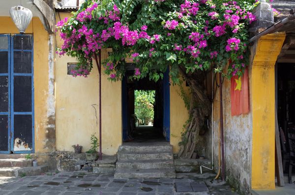 ベトナム・ホイアン「ベトナム」の写真