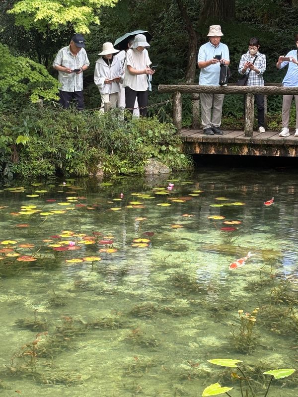 日本・岐阜県「岐阜県山県市　サウナ」の写真