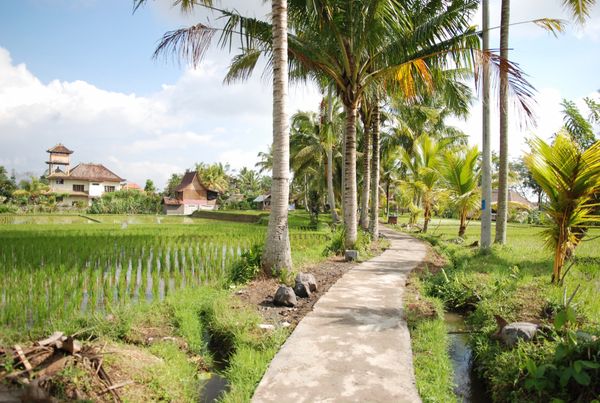 インドネシア・バリ島「バリ島」の写真