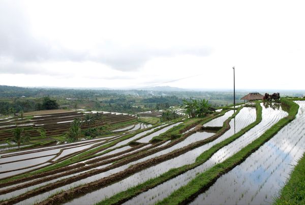 インドネシア・バリ島「バリ島」の写真