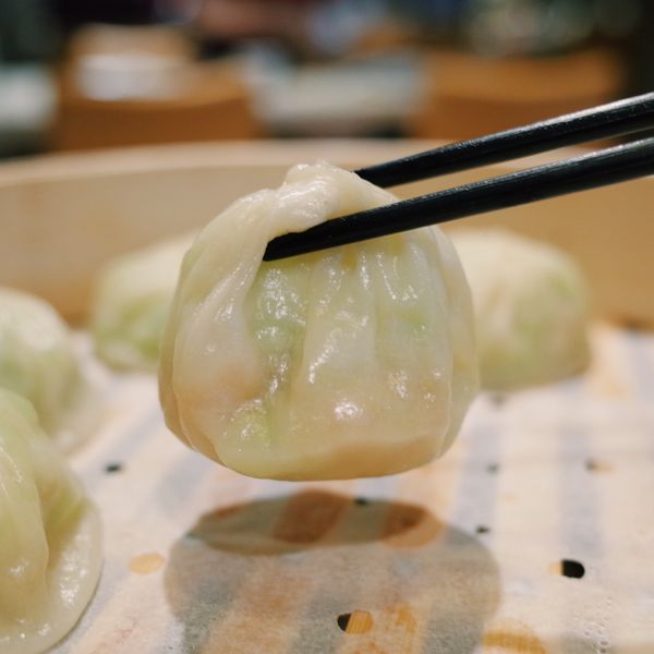 台湾・台北「台湾」の写真