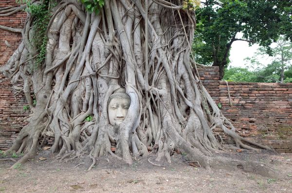 タイ・バンコク「バンコク」の写真