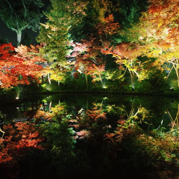 日本・京都「京都」の写真