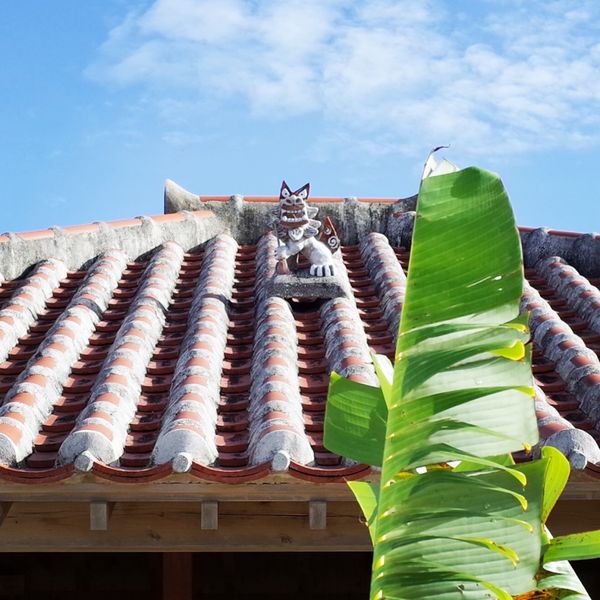 日本・竹富島「波照間島・竹富島」の写真