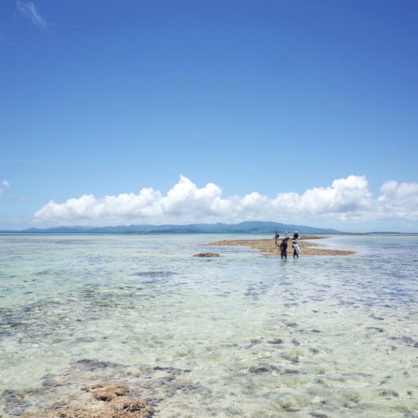 日本・竹富島「波照間島・竹富島」の写真