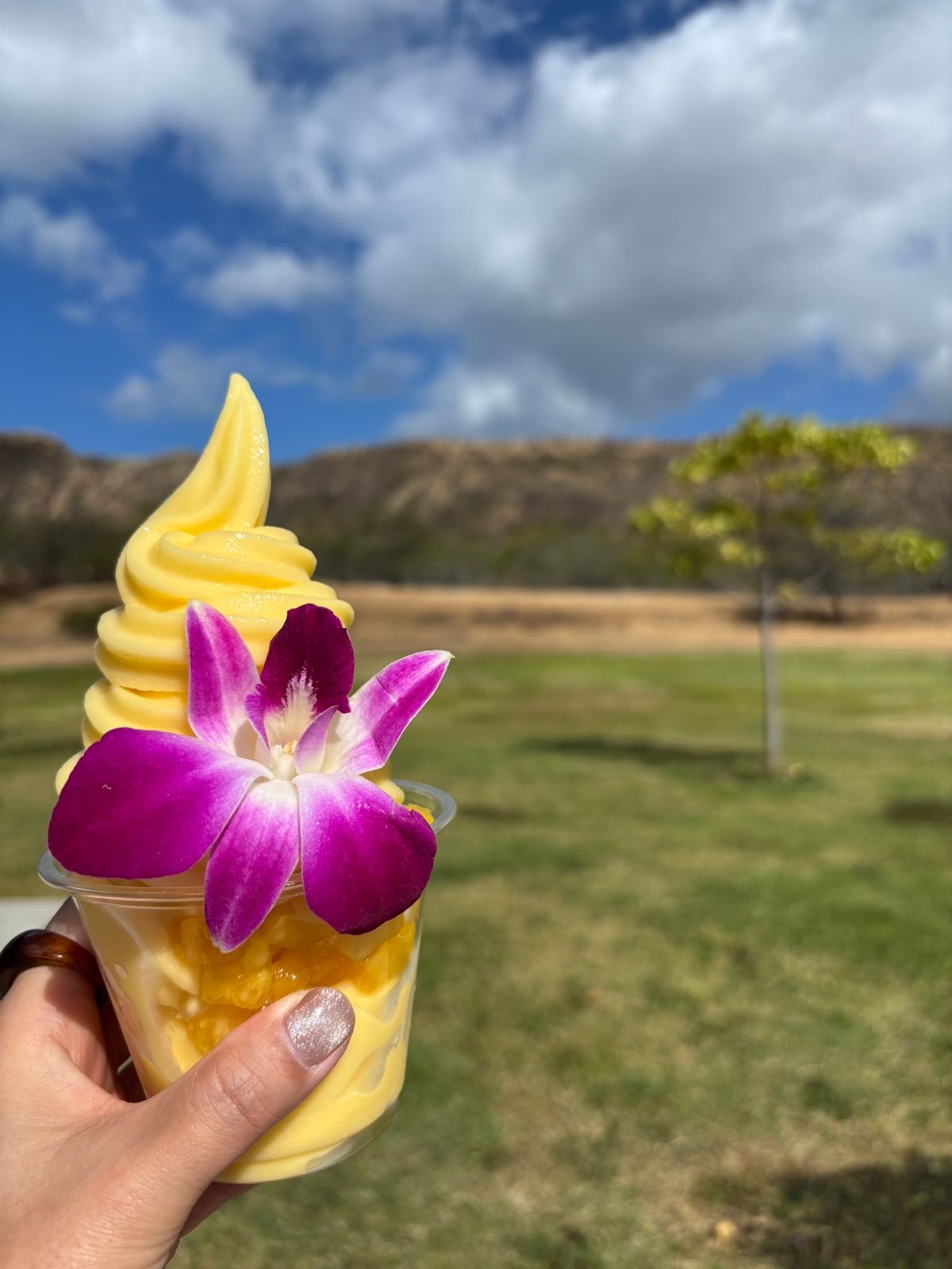3日目はダイヤモンドヘッド登山。30分ほどで登頂。山頂は涼しくナイスビュー...