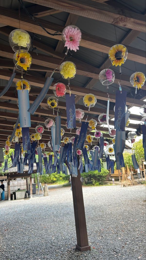 日本・和歌山県「青の旅」の写真：夏を感じにいったら、百人一首の第100首...