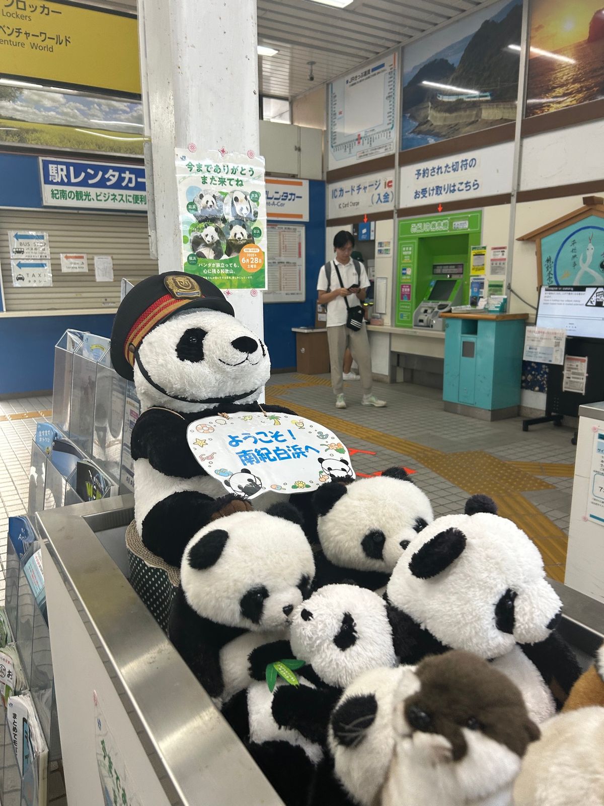 どこもかしこも🐼がたくさん！
でも本物のパンダには会えませんでした。
いつ...