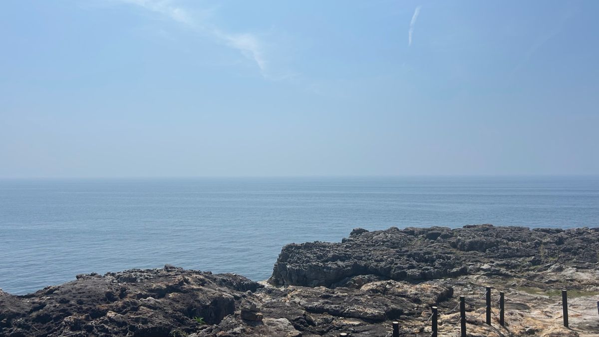 謎解き楽しかったな〜。
たくさん水滴が頭に落ちてきて、暑い暑い言いながらも...