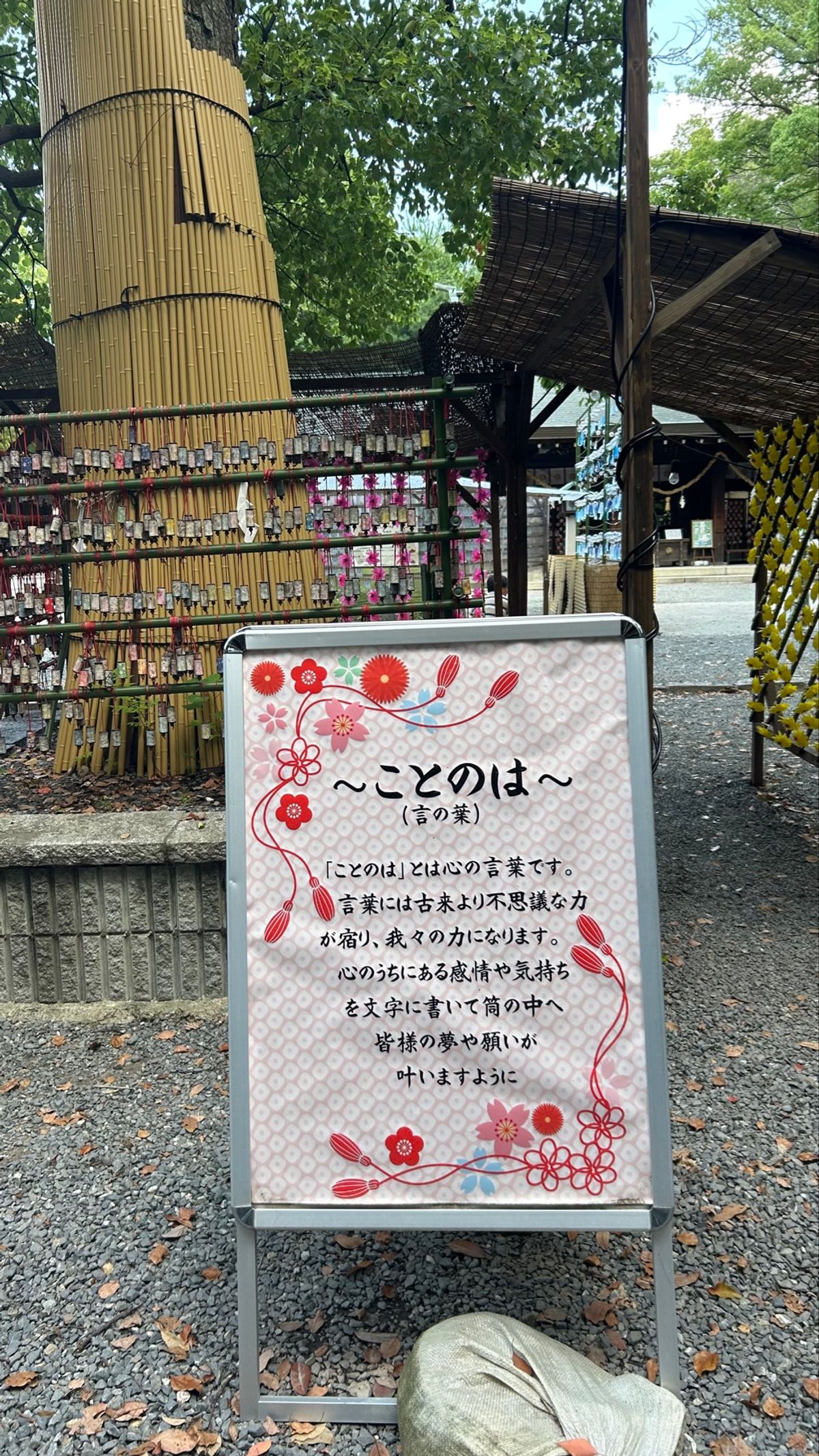 夏を感じにいったら、百人一首の第100首に巡りあい、『ことのは』なんて贅沢...