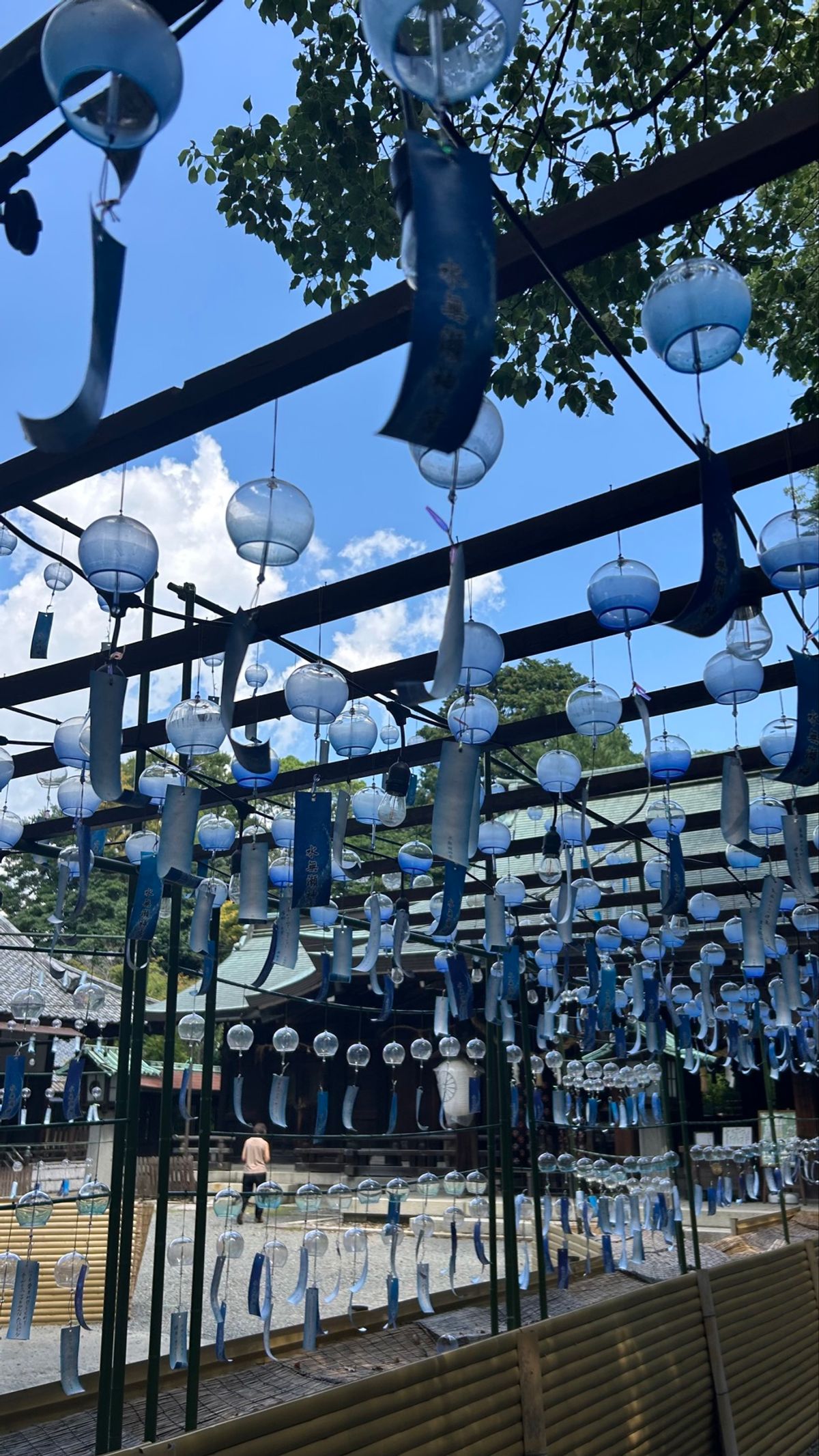 夏を感じにいったら、百人一首の第100首に巡りあい、『ことのは』なんて贅沢...