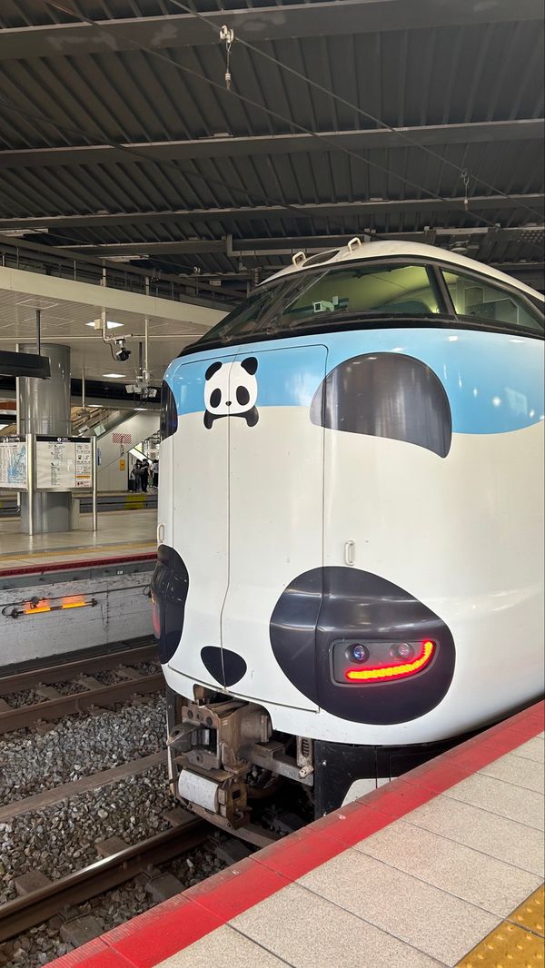 日本・和歌山県「青の旅」の写真：どこもかしこも🐼がたくさん！
でも本物の...