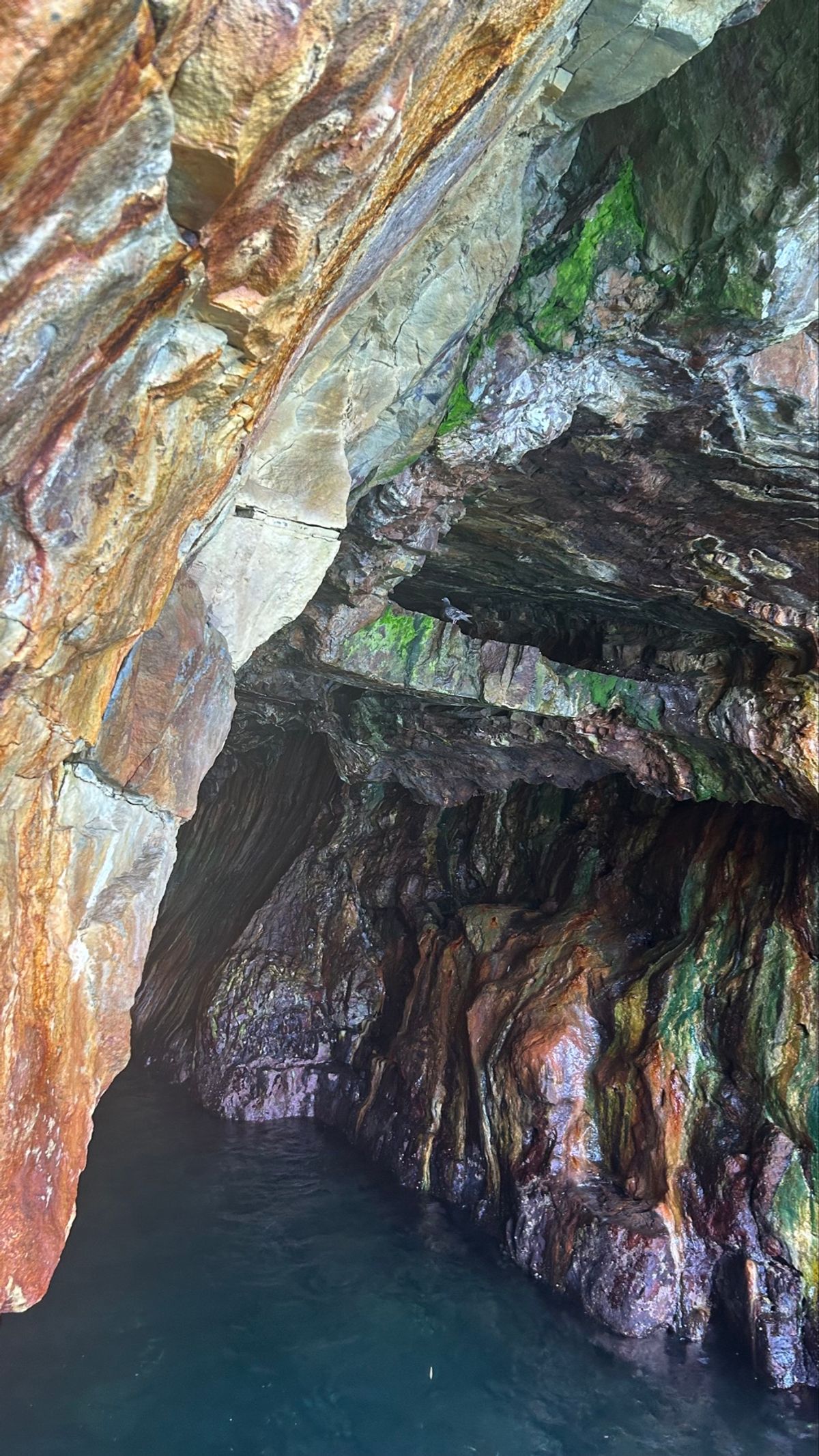 謎解き楽しかったな〜。
たくさん水滴が頭に落ちてきて、暑い暑い言いながらも...