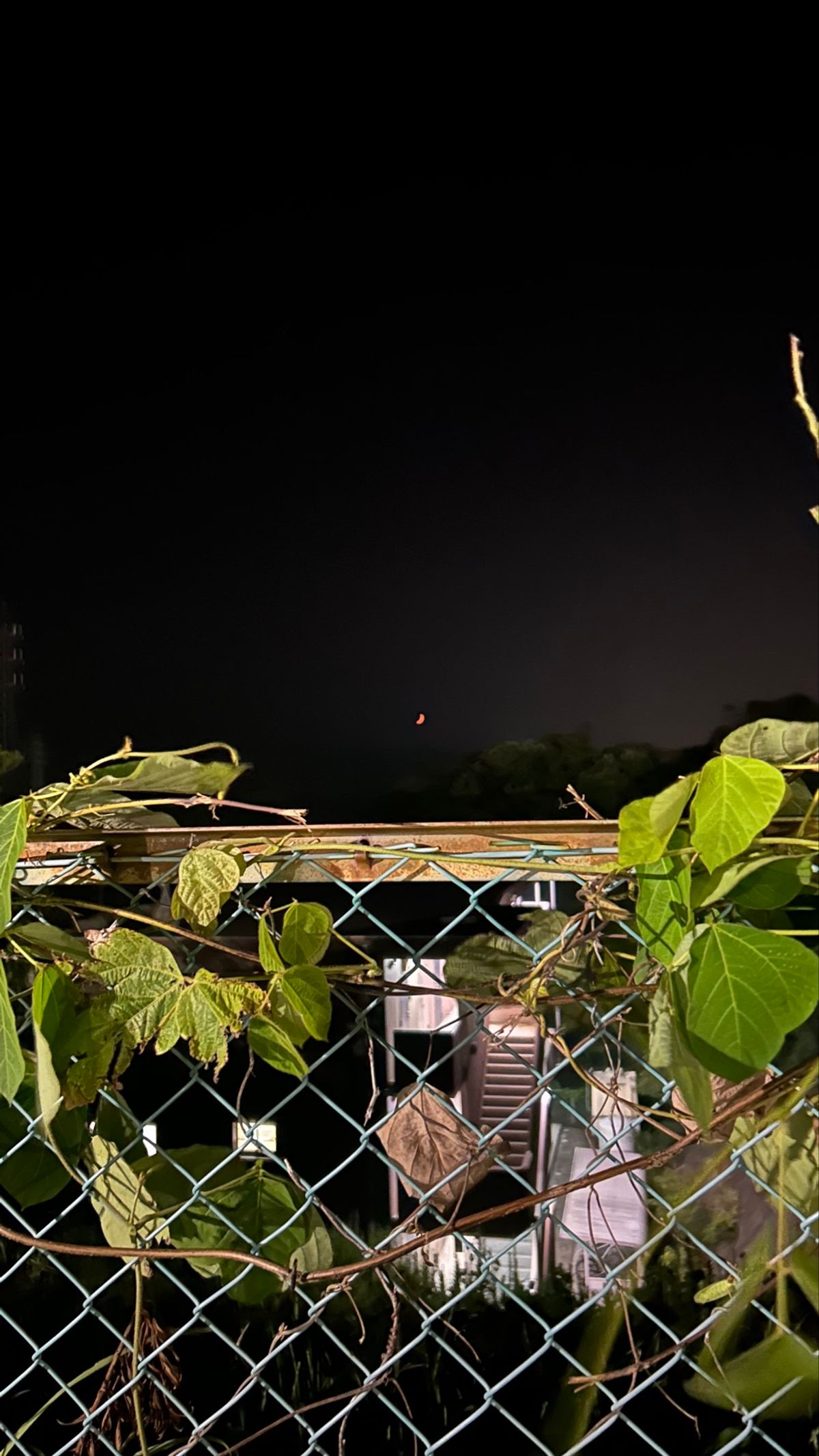 ずっと空が綺麗で。
たまたま赤い月を見つけちゃって。

今日で地球が終わっ...