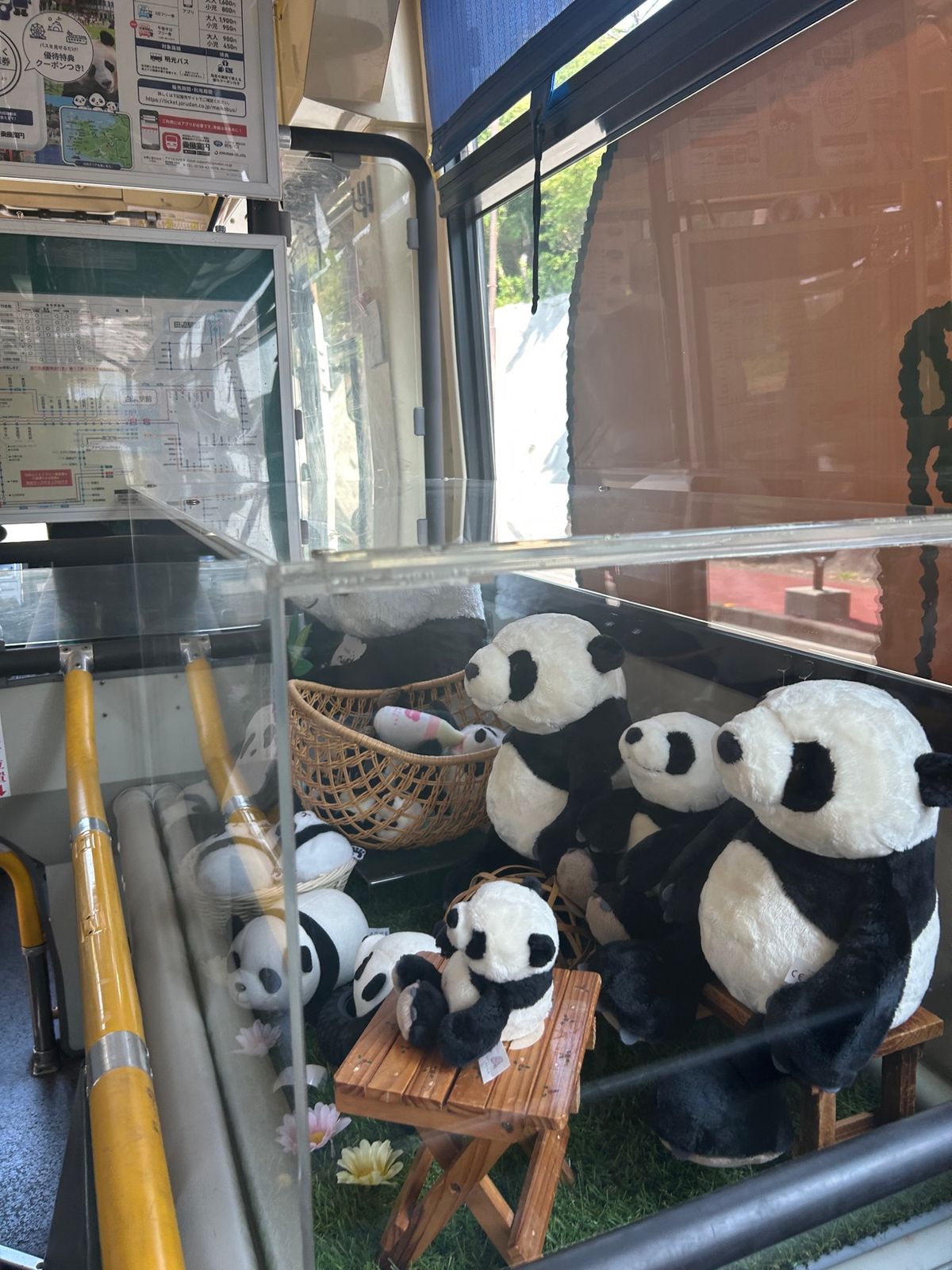 どこもかしこも🐼がたくさん！
でも本物のパンダには会えませんでした。
いつ...