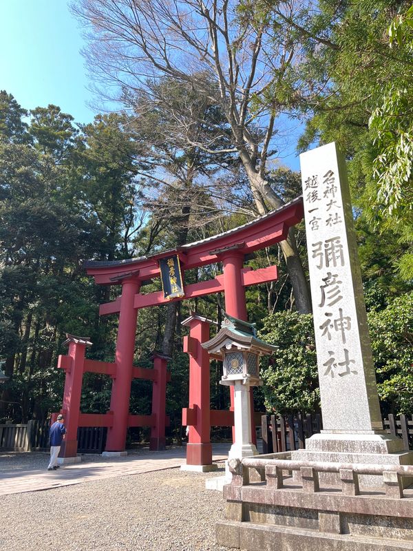 日本・新潟県「新潟遠征」の写真