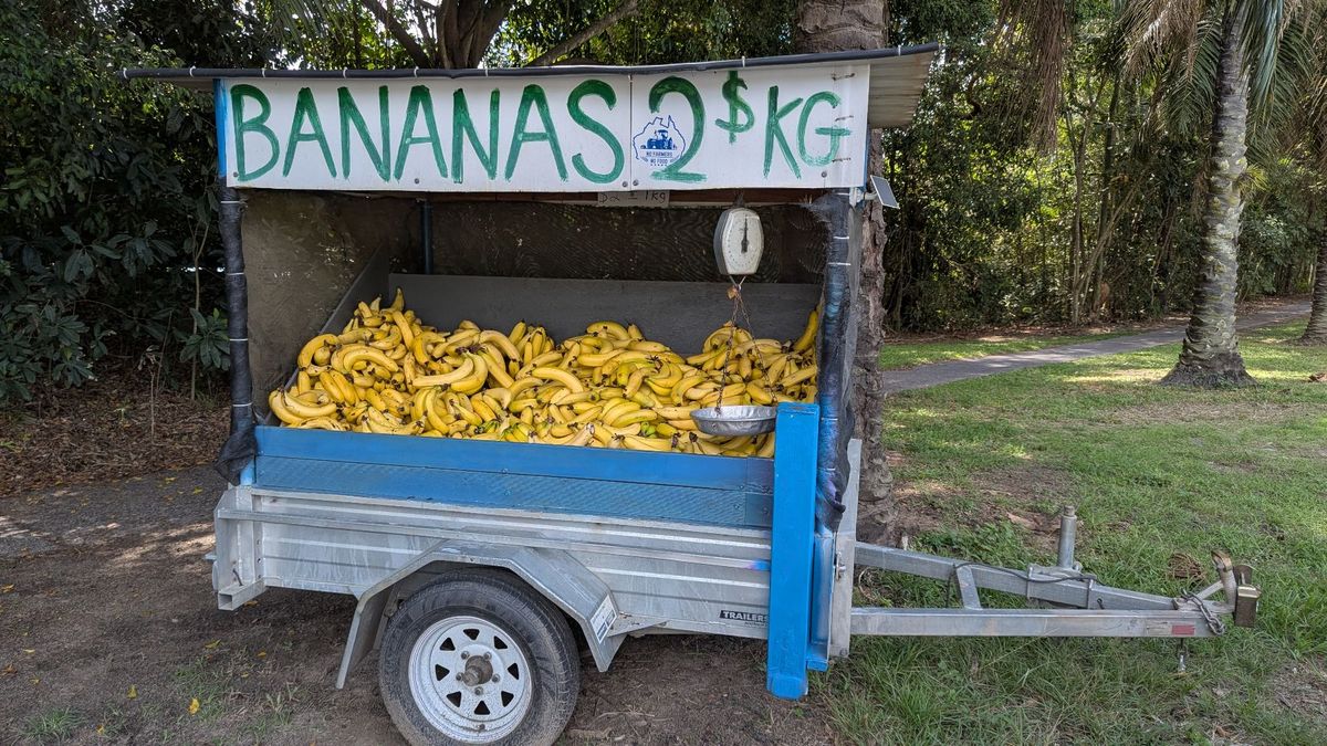 ケアンズ生活。
フルーツミンスパイはあまり好みじゃなかった。
サンタに電話...