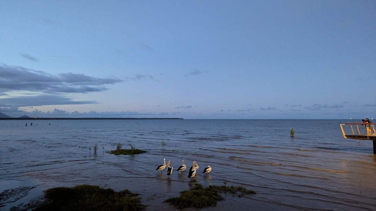 ケアンズ町中。クリスマスシーズン前で、ラグーンの魚もサンタ仕様。移動観覧車...
