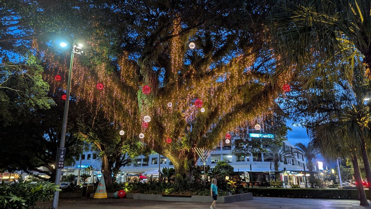 ケアンズ町中。クリスマスシーズン前で、ラグーンの魚もサンタ仕様。移動観覧車...