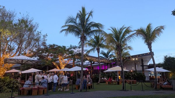 オーストラリア連邦・ケアンズ「久々にケアンズで過ごす」の写真：ケアンズ町中。クリスマスシーズン前で、ラ...