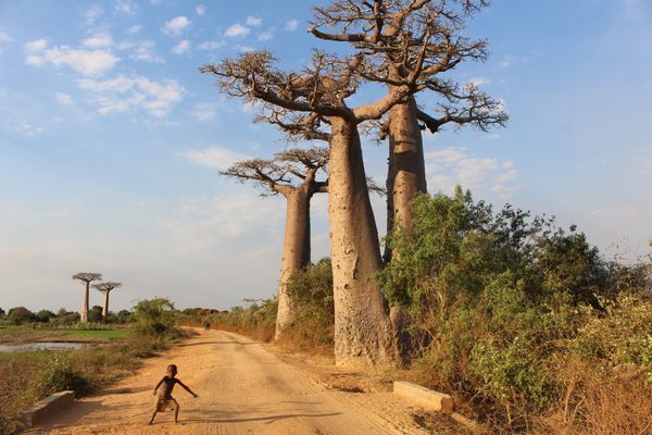 ボツワナ・チョビ国立公園「南部アフリカの旅」の写真