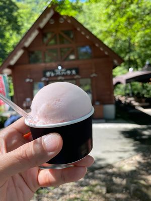 高原のジェラートハウスでオヤツタイム