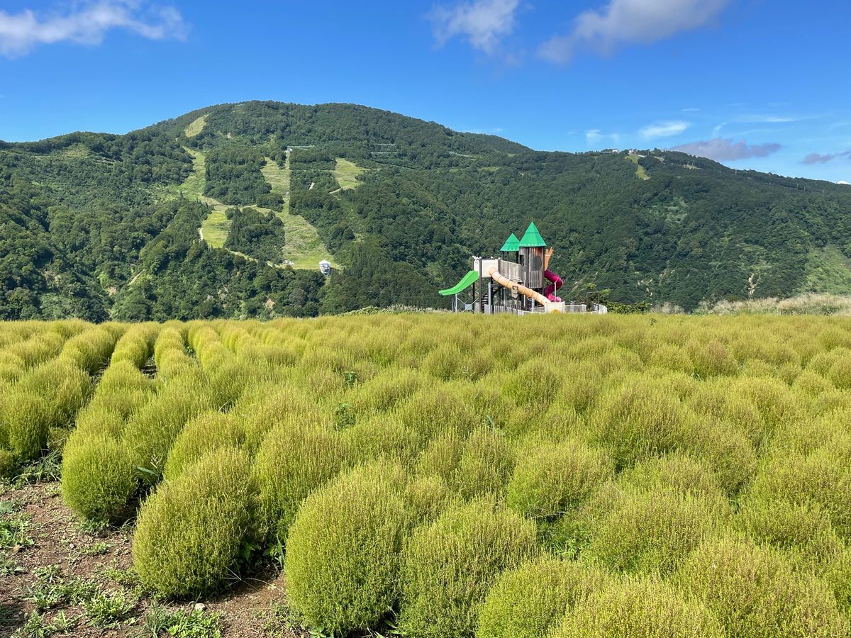 駅から歩いて湯沢高原ロープウェイへ。標高800mの高原は涼しい風が吹いてました。
