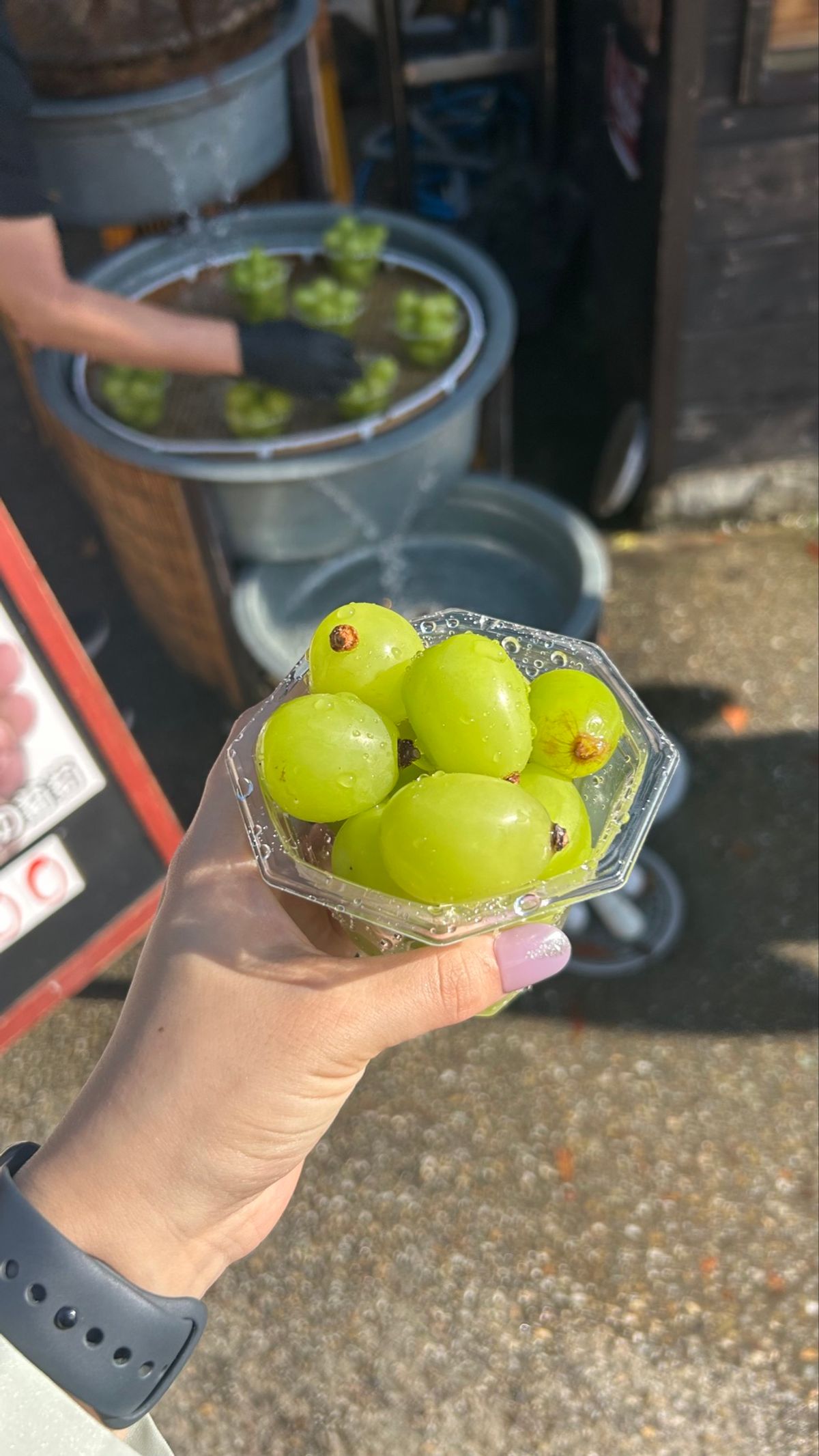 美味しいたち。
ほうとうでだいぶお腹いっぱいだったけど、クルミ味噌団子も5...