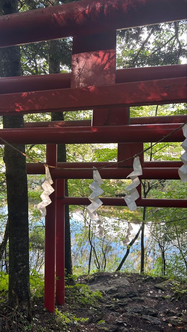 日本・山梨県「夏の終わりと小さな秋」の写真：📍出口池
忍野八海からちょっと歩いたけど...