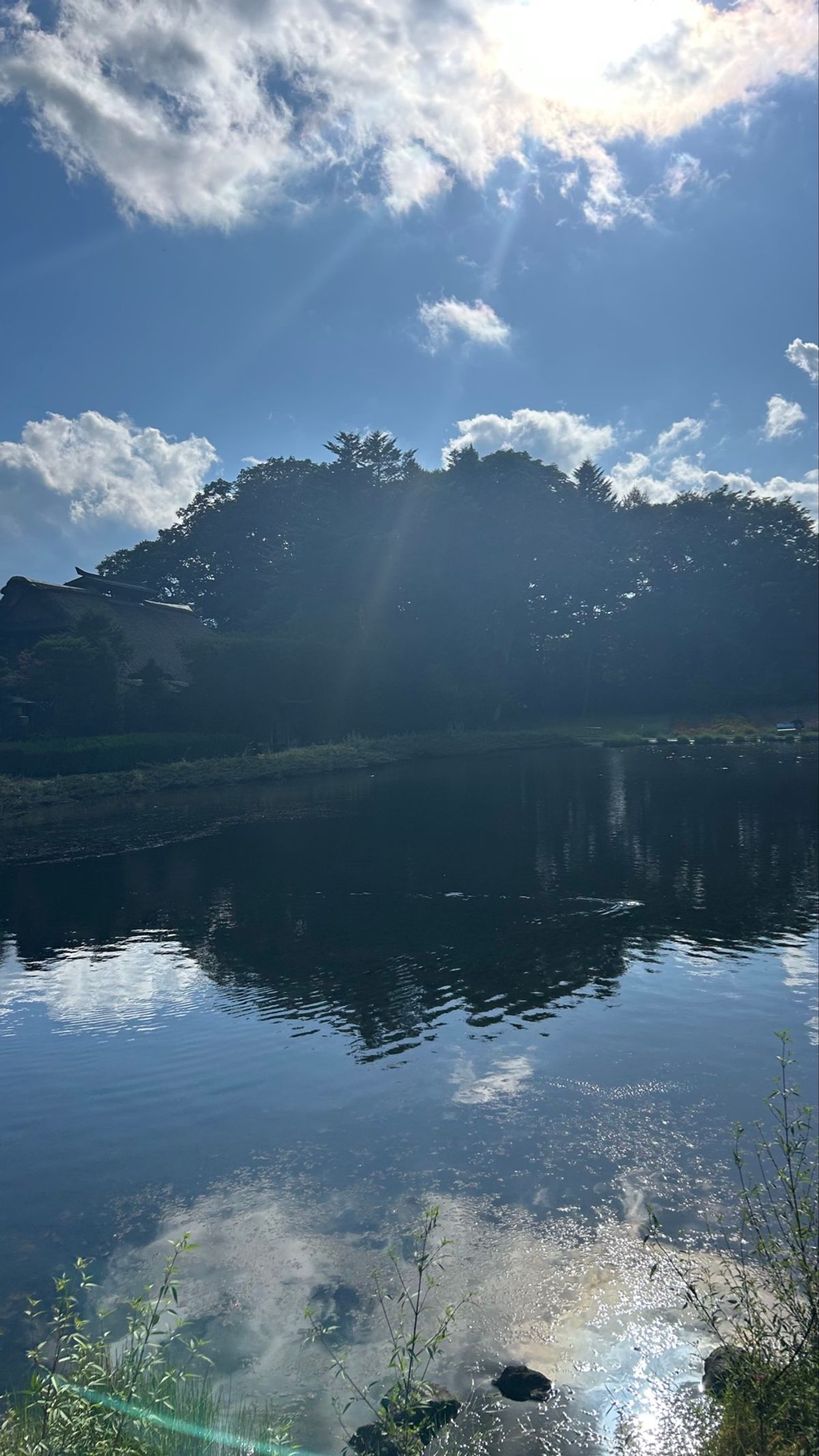 鏡みたい🪞
ニジマスに触れる勇気はなかったけど、お水冷たすぎて気持ちよかっ...