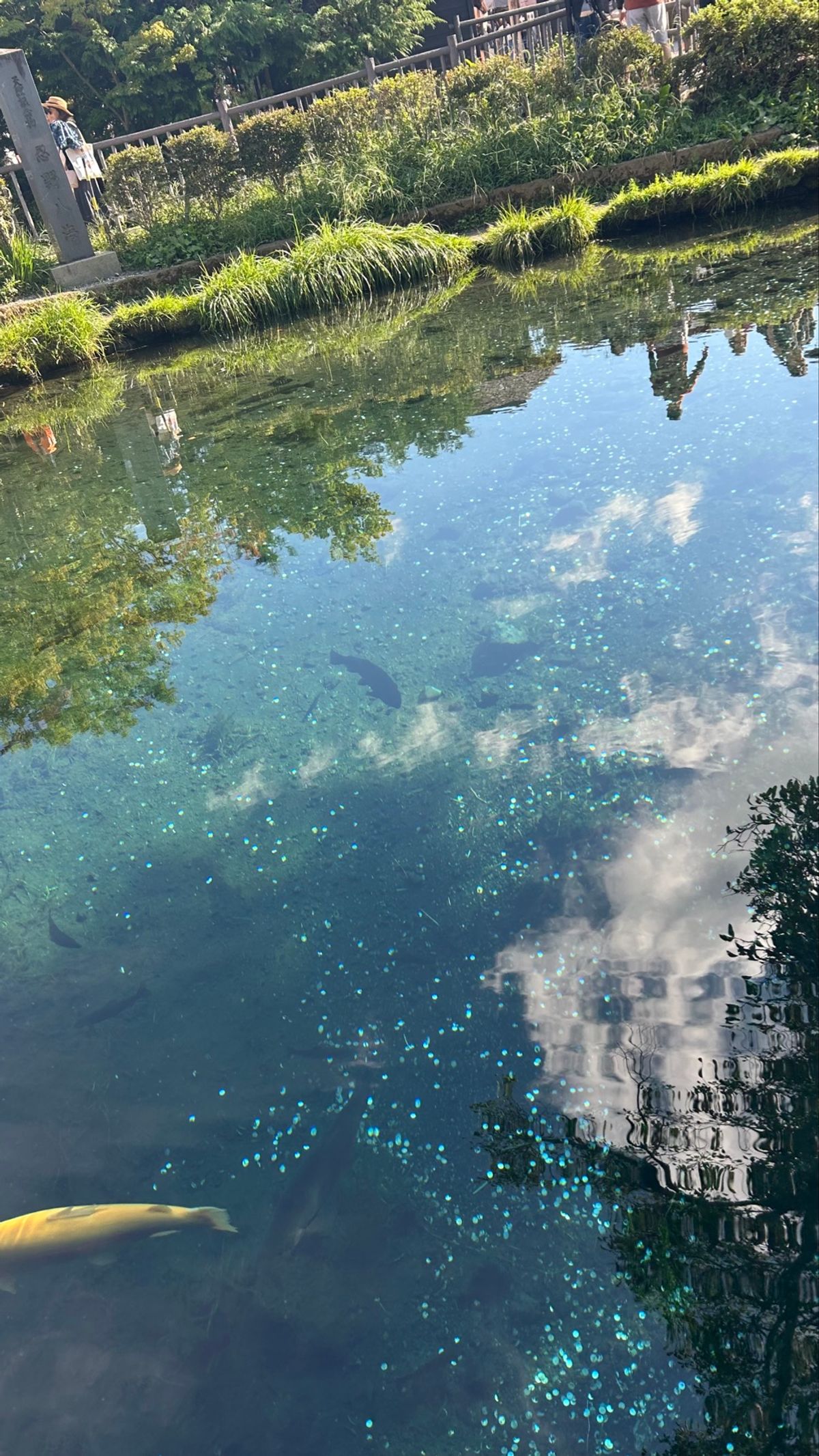 爆速水車と透き通った青！
写真でみるより実物の方が青かった〜🩵