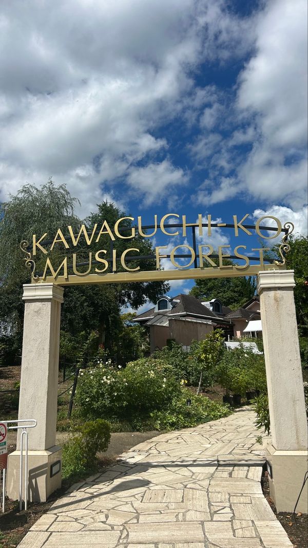 日本・山梨県「夏の終わりと小さな秋」の写真：📍河口湖 音楽と森の美術館🌳🍃

空間が...