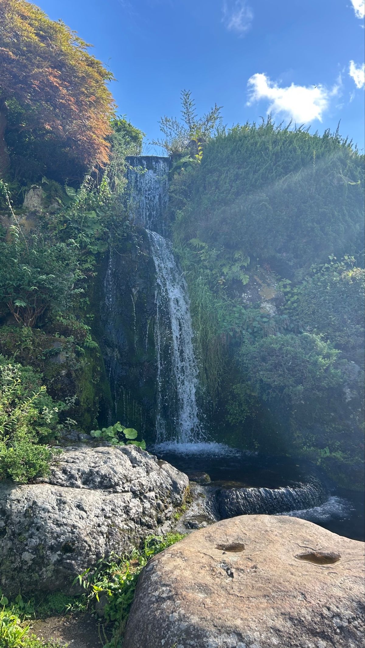 鏡みたい🪞
ニジマスに触れる勇気はなかったけど、お水冷たすぎて気持ちよかっ...