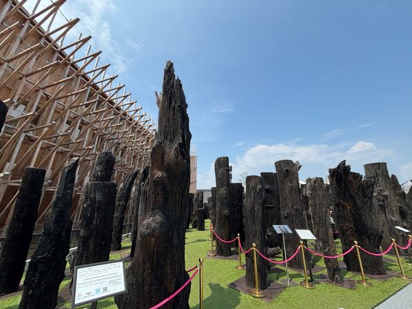 日本・大阪府「万博13回目」の写真