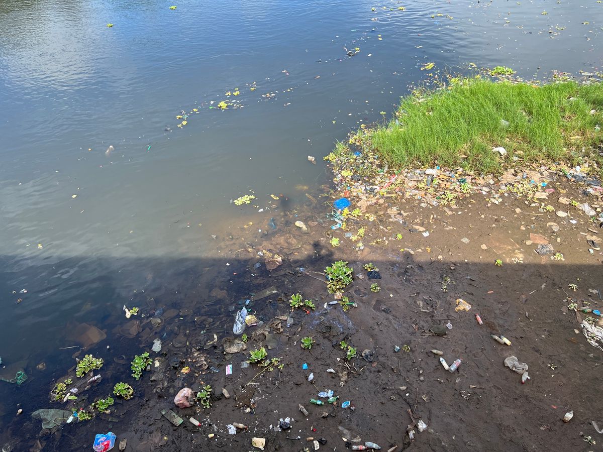 モンロビアのラグーン