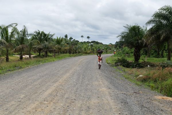 ガーナ・Accra「リベリア&ガーナ出張」の写真：リベリアの田舎の風景