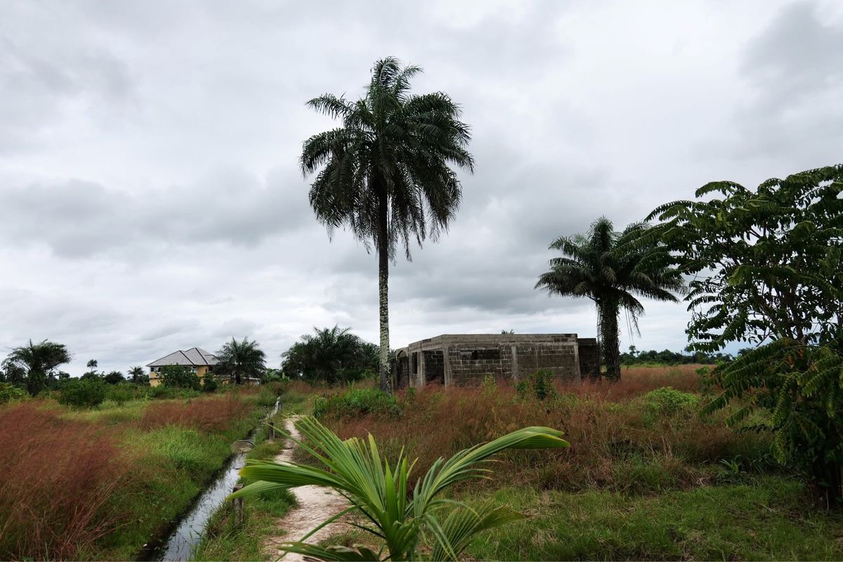 リベリアの田舎の風景
