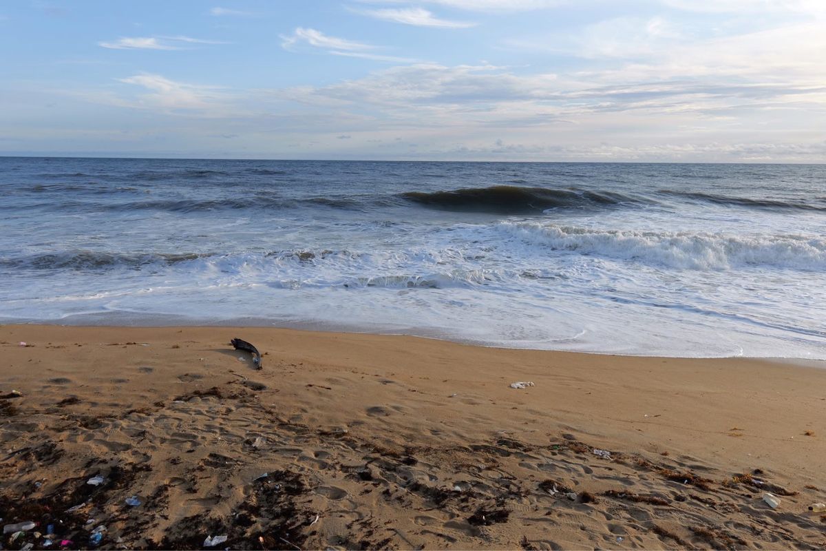 ホテルとその周辺の海