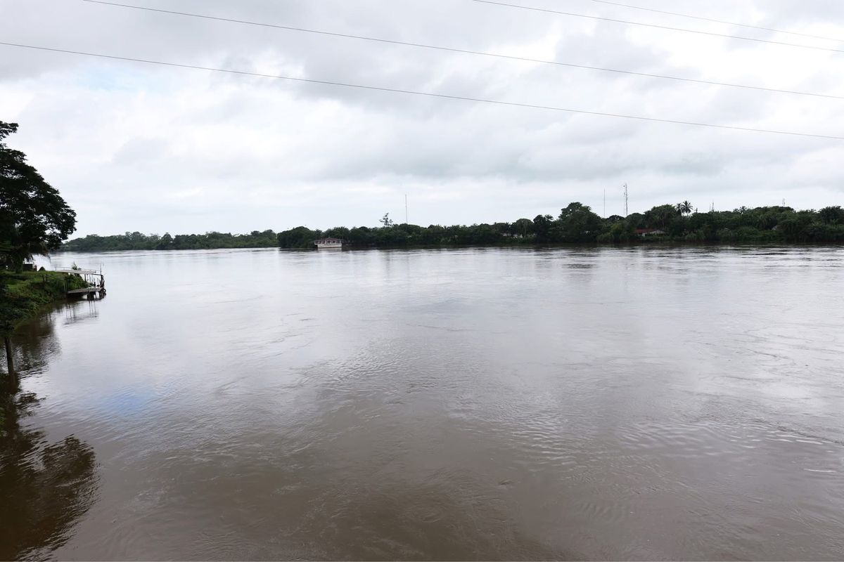 リベリアの田舎の風景