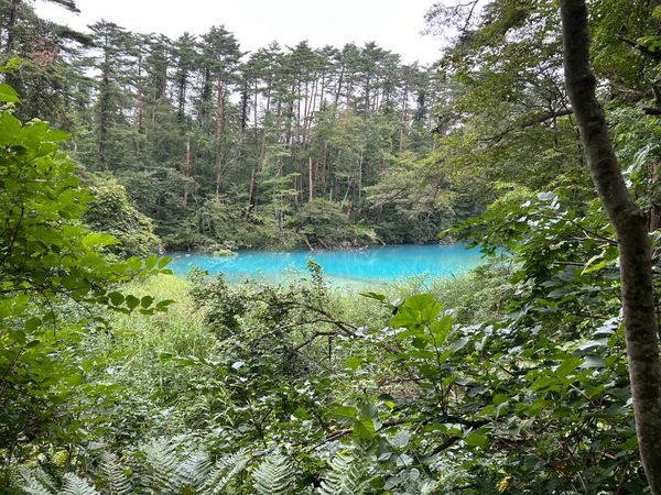 日本・福島県「裏磐梯」の写真