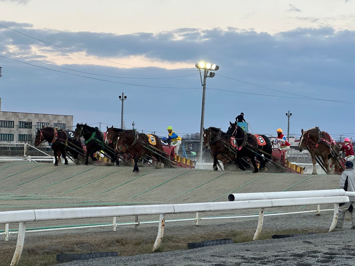 2回目の帯広
十勝ばんえい競馬場、観月苑のサウナ、真部庭園のリス、いっぴんの豚丼