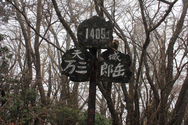 日本・静岡県「天城山」の写真
