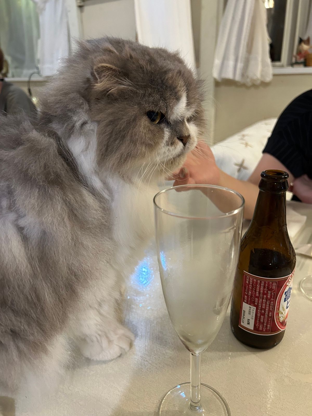 お宿は河口湖のペンション