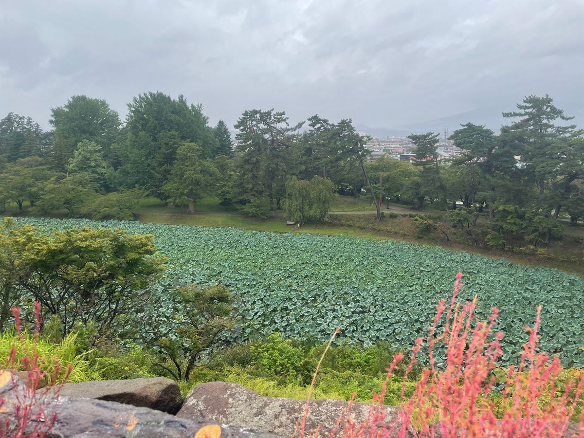 最大の目的の弘前城
現存する天守閣みたいで眼福
実際の場所からは移動されて...