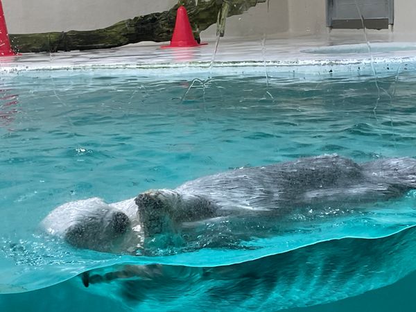 日本・三重県伊勢市「お伊勢参り」の写真